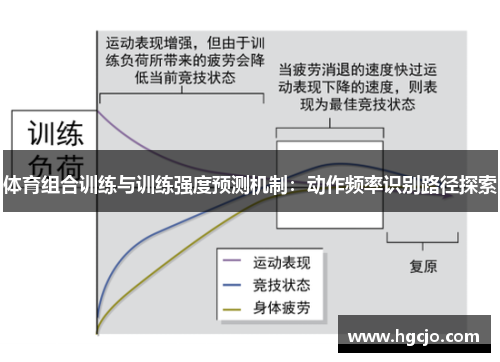 体育组合训练与训练强度预测机制：动作频率识别路径探索